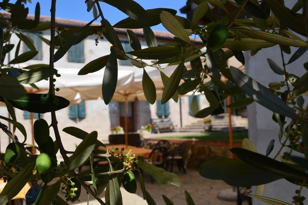 Colle Del Barbarossa Agroturismo