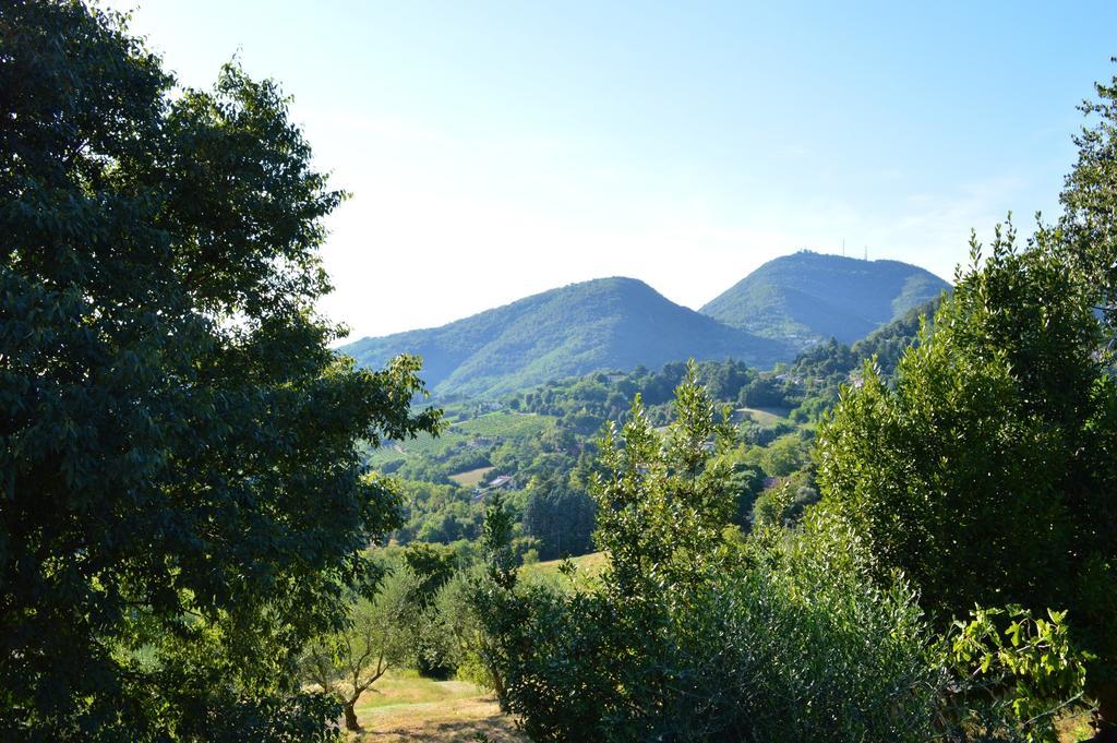 Colle Del Barbarossa Bauernhof