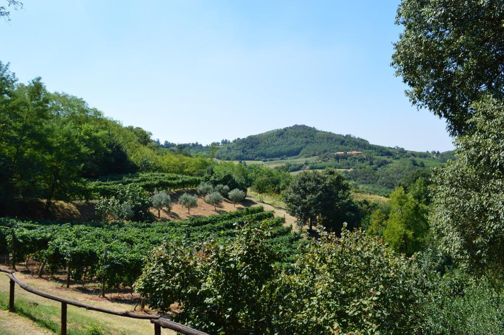 Colle Del Barbarossa Teolo